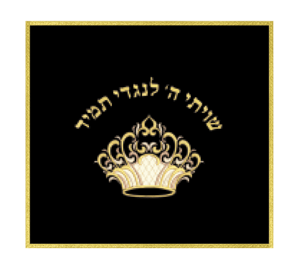 ⁦בימה דגם 860⁩ – תמונה ⁦3⁩