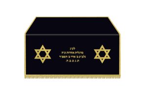 תיבה לחזן ולספר תורה דגם 580