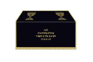 תיבה לחזן ולספר תורה דגם 590