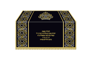 תיבה לחזן ולספר תורה דגם 600