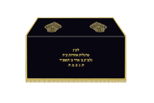 תיבה לחזן ולספר תורה דגם 620