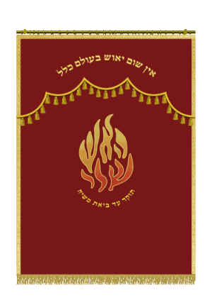 דגם אומן האש שלי